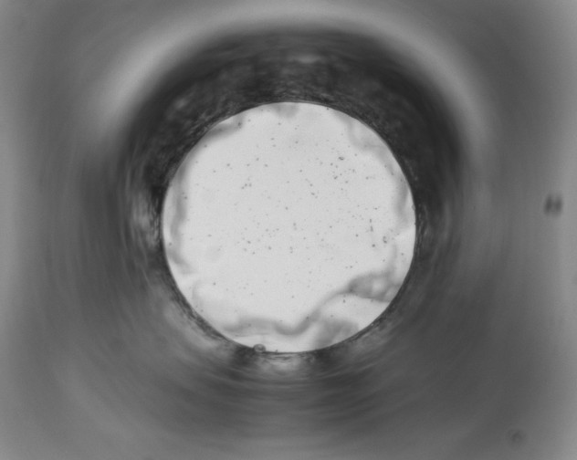 X0000113990479200910231734