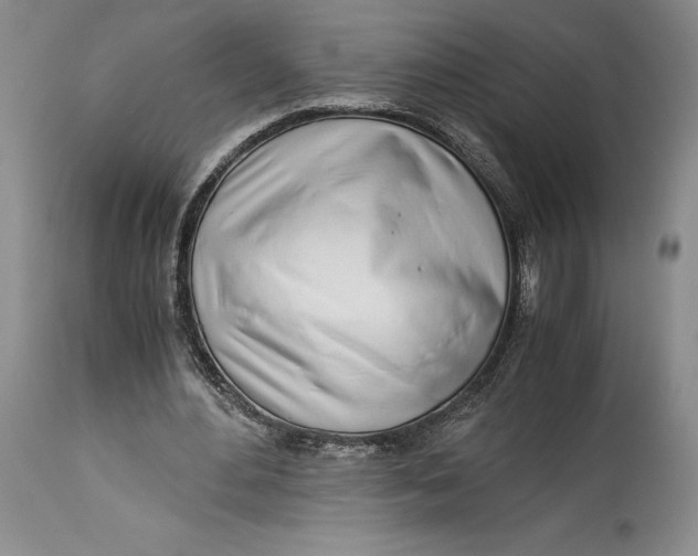 X0000113990484200910231733