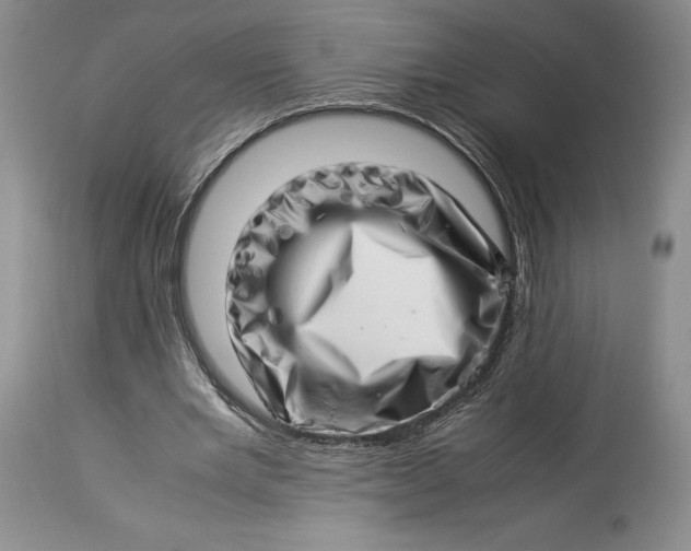 X0000113990485200910231733