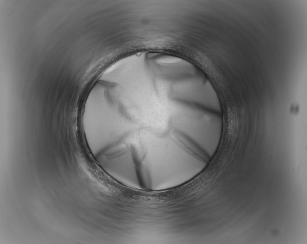 X0000113990486200910231733