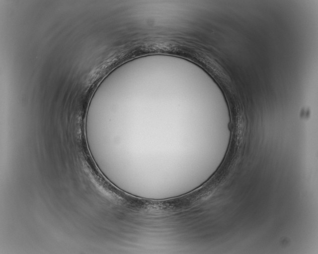 X0000113990489200910231733