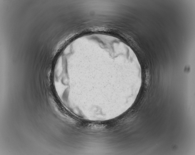 X0000113990491200910231733