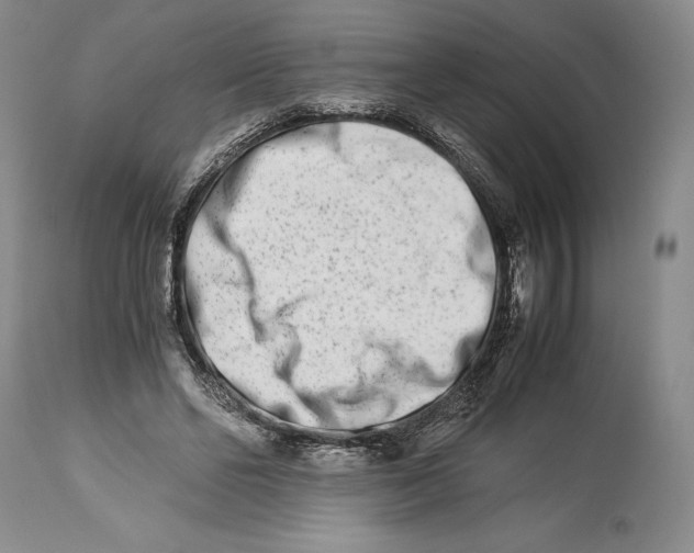 X0000113990494200910231733