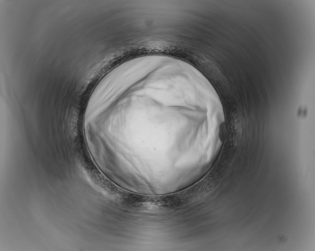 X0000113990496200910231733