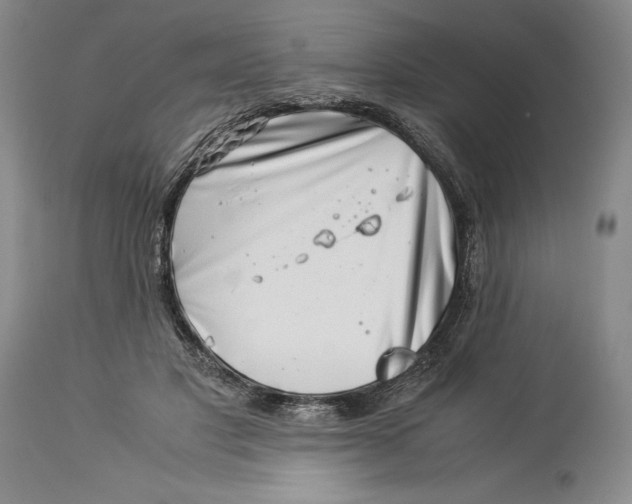 X0000113990501200910231733