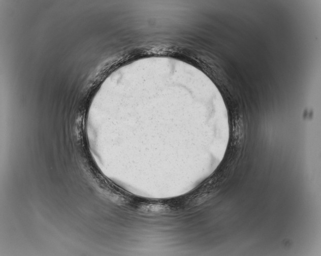 X0000113990503200910231733