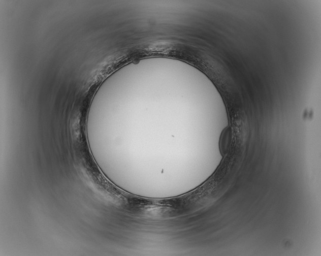 X0000113990504200910231733