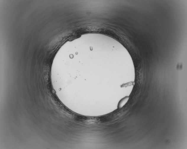 X0000113990505200910231733