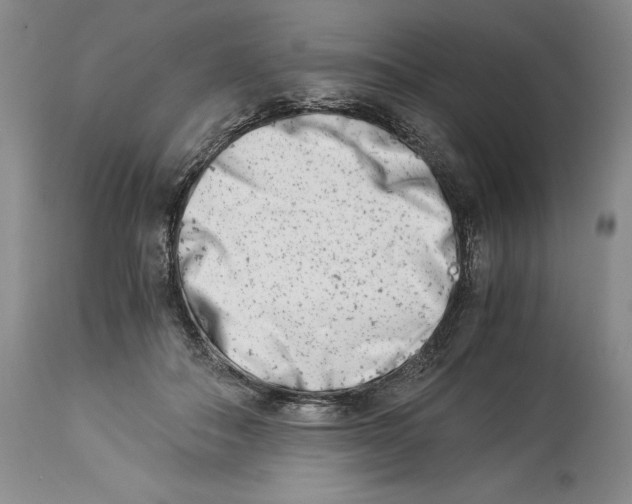 X0000113990506200910231733