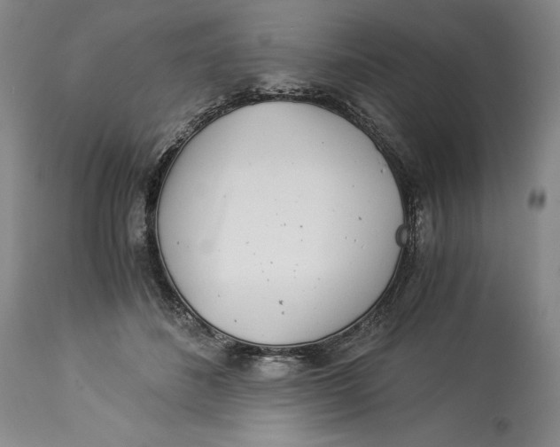 X0000113990508200910231733