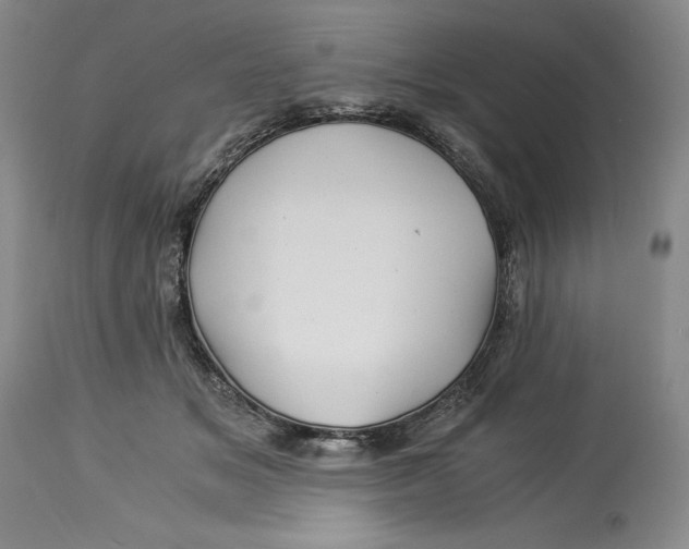 X0000113990509200910231733