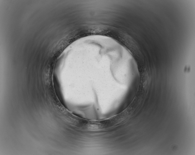 X0000113990510200910231733