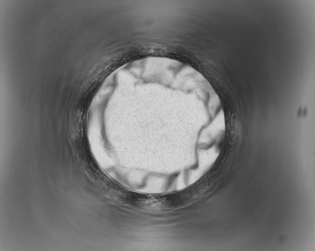 X0000113990511200910231733