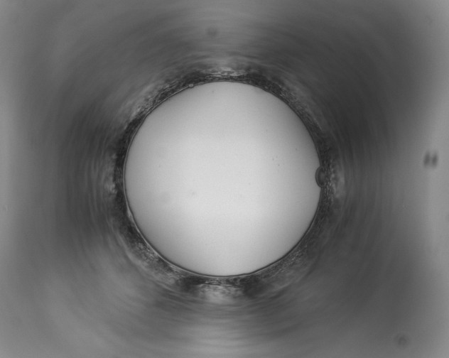 X0000113990512200910231733