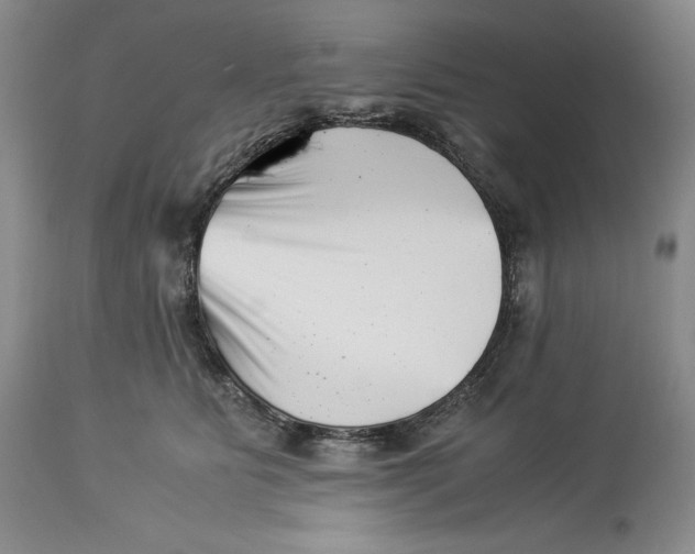 X0000113990515200910231733