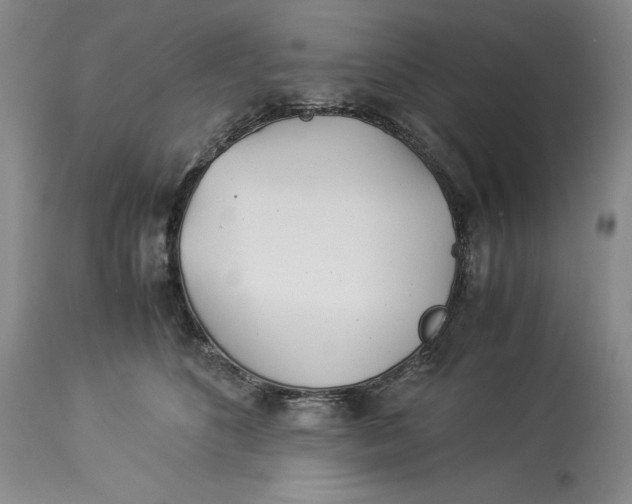 X0000113990516200910231733