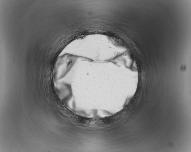 X0000113990517200910231733