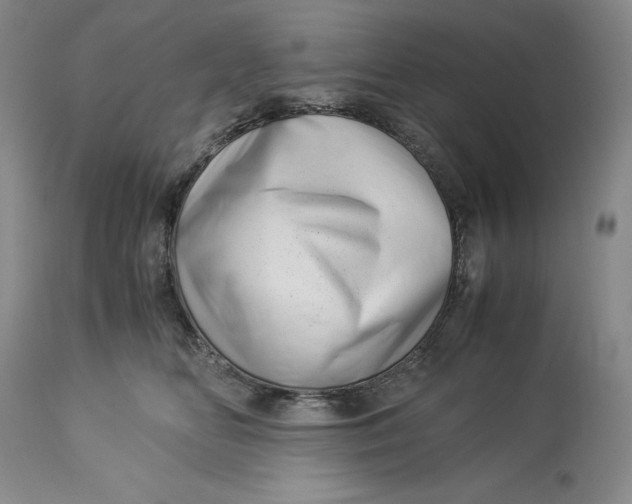 X0000113990518200910231733