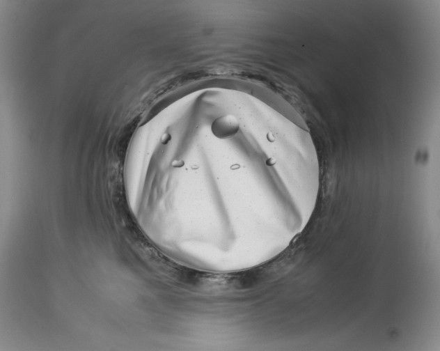 X0000113990521200910231733