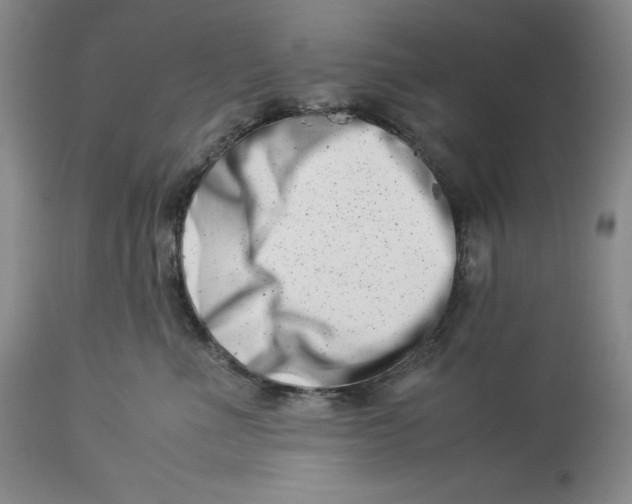 X0000113990523200910231732