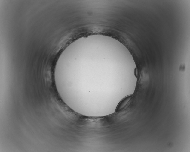 X0000113990524200910231732