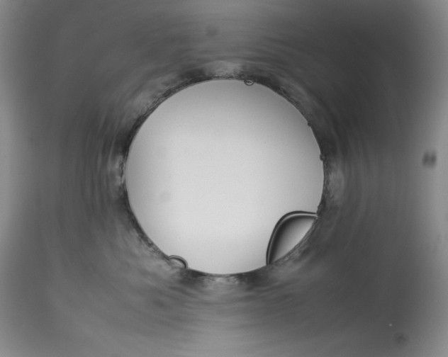 X0000113990525200910231732