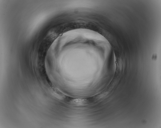 X0000113990526200910231732