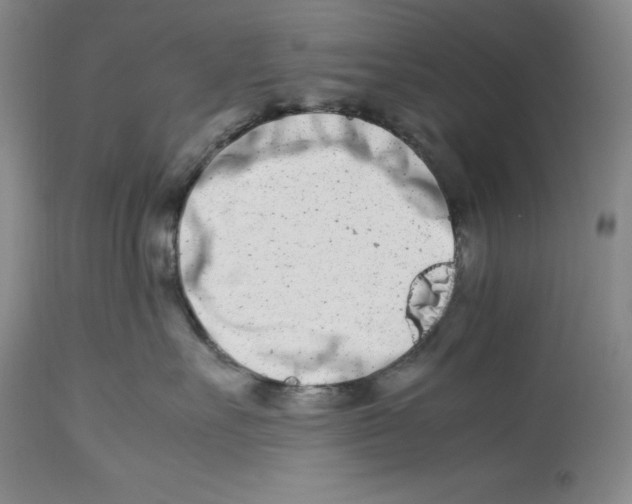 X0000113990527200910231732