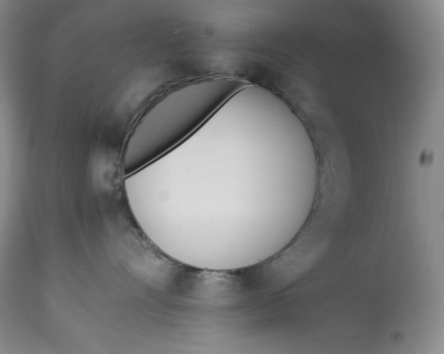 X0000113990528200910231732