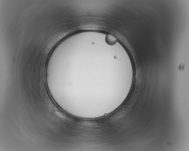 X0000113990529200910231731