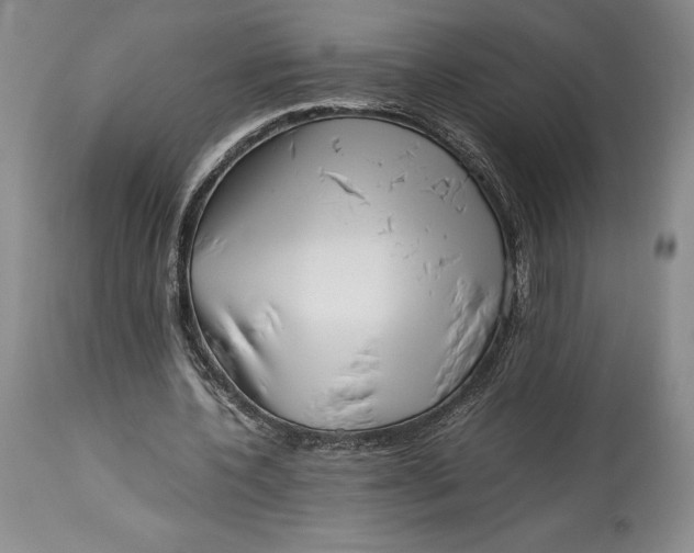 X0000113990532200910231731