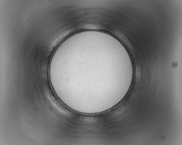 X0000113990533200910231731