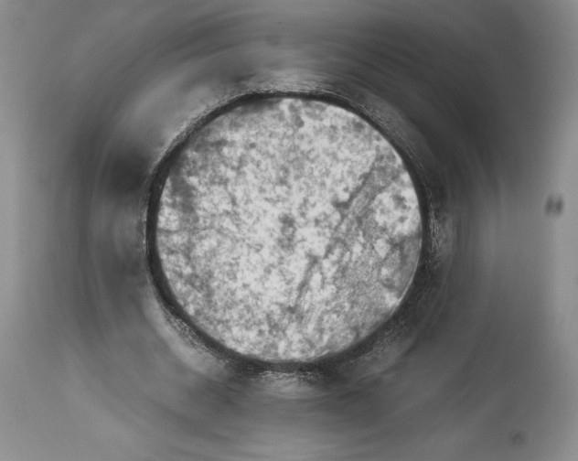 X0000113990534200910231732