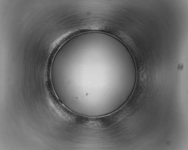 X0000113990536200910231732