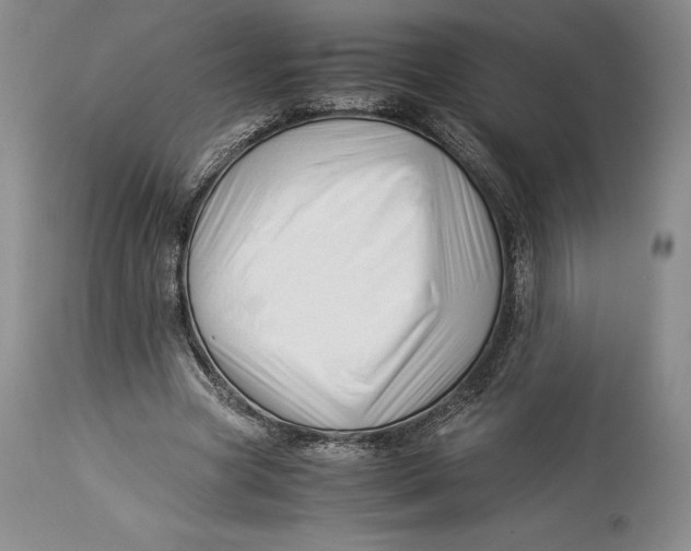 X0000113990537200910231732