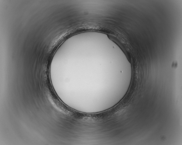 X0000113990538200910231732