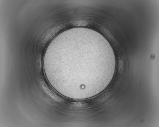 X0000113990541200910231732