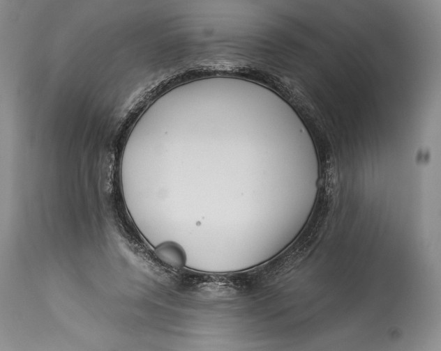 X0000113990544200910231732