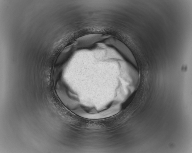 X0000113990545200910231732