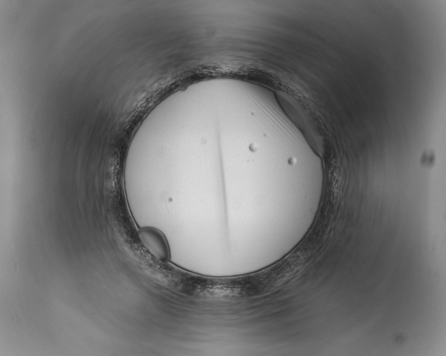 X0000113990546200910231732