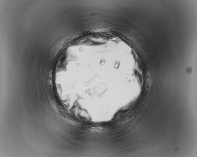 X0000113990547200910231732