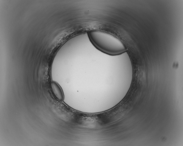 X0000113990548200910231732