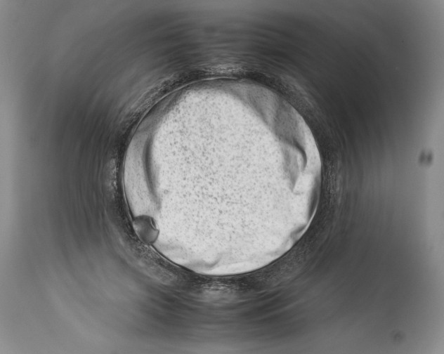 X0000113990549200910231732