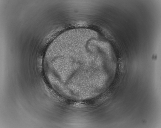 X0000113990550200910231732