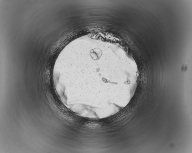 X0000113990551200910231732