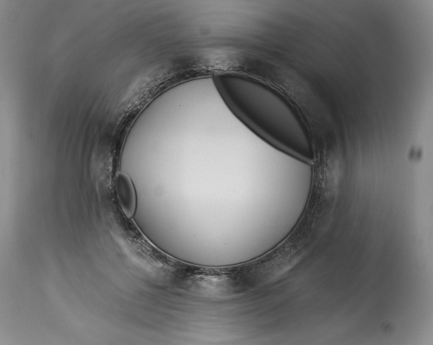 X0000113990552200910231732