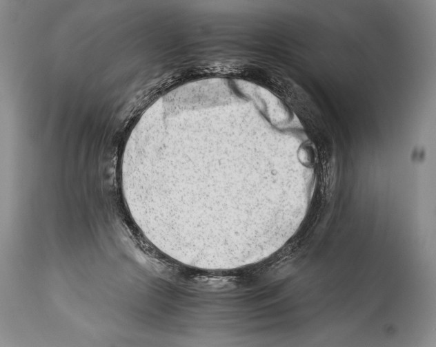 X0000113990553200910231732