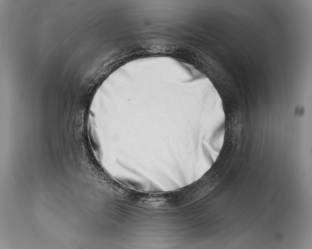 X0000113990554200910231732