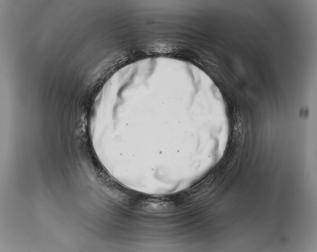 X0000113990555200910231732