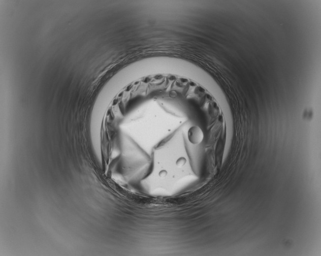 X0000113990556200910231732